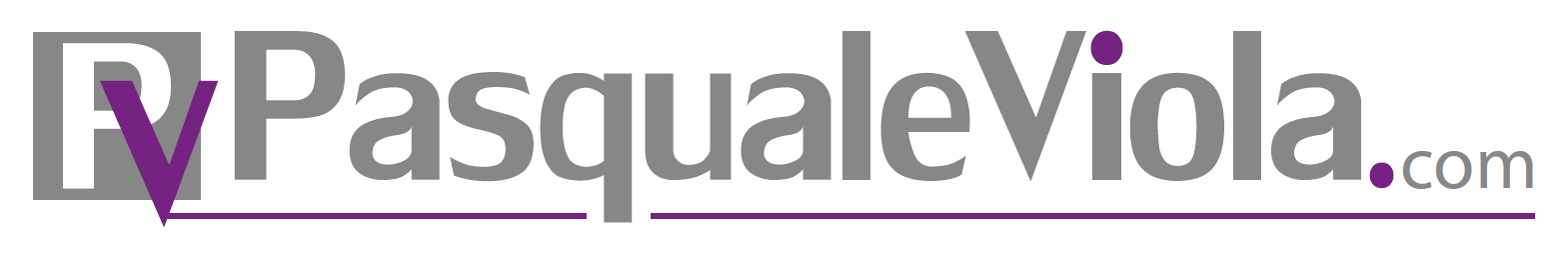 Logo Partner 4